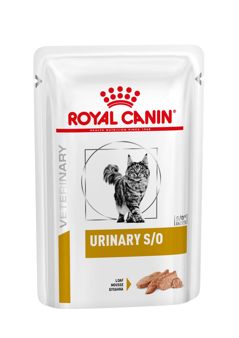 Schat Gemeenten Grens Royal Canin Kat Urinary S/O - morsels in gravy
