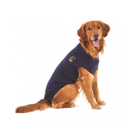 Ithaca Verbergen hulp Medical Pet Shirt hond – Dé hondenromper – PetMarkt.nl